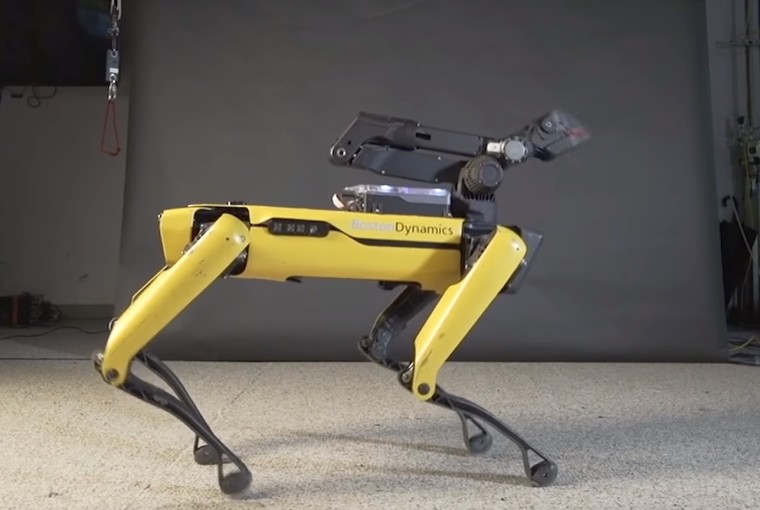 Boston Dynamics robot köpeği